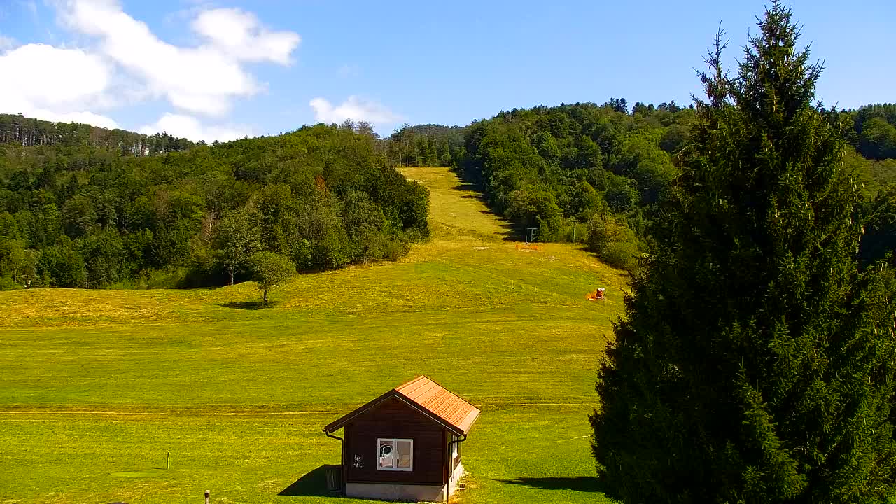 Camera en vivo Lokve – La belleza del bosque de Trnovo