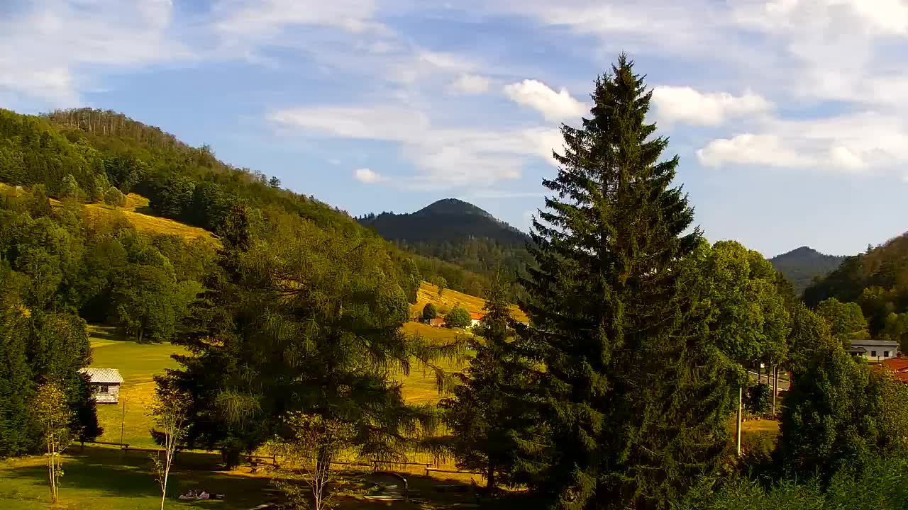 Webcam Loqua / Lokve – La bellezza della selva di Tarnova