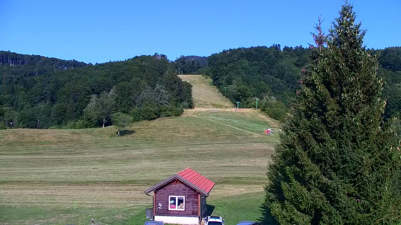 Webcam Lokve – La beauté de la forêt de Trnovo