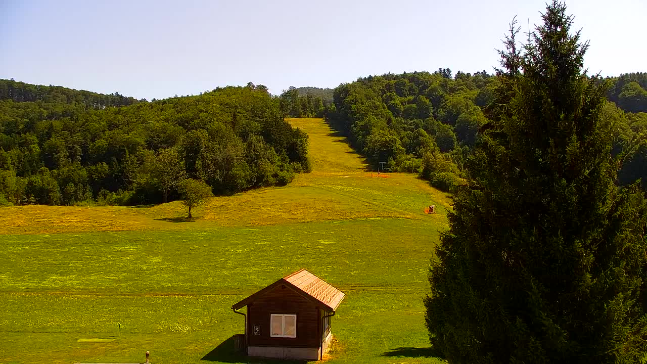 Camera en vivo Lokve – La belleza del bosque de Trnovo
