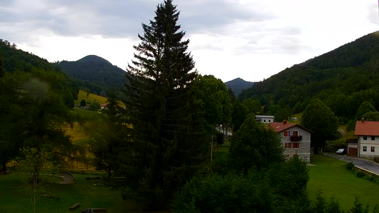 Webcam Loqua / Lokve – La bellezza della selva di Tarnova