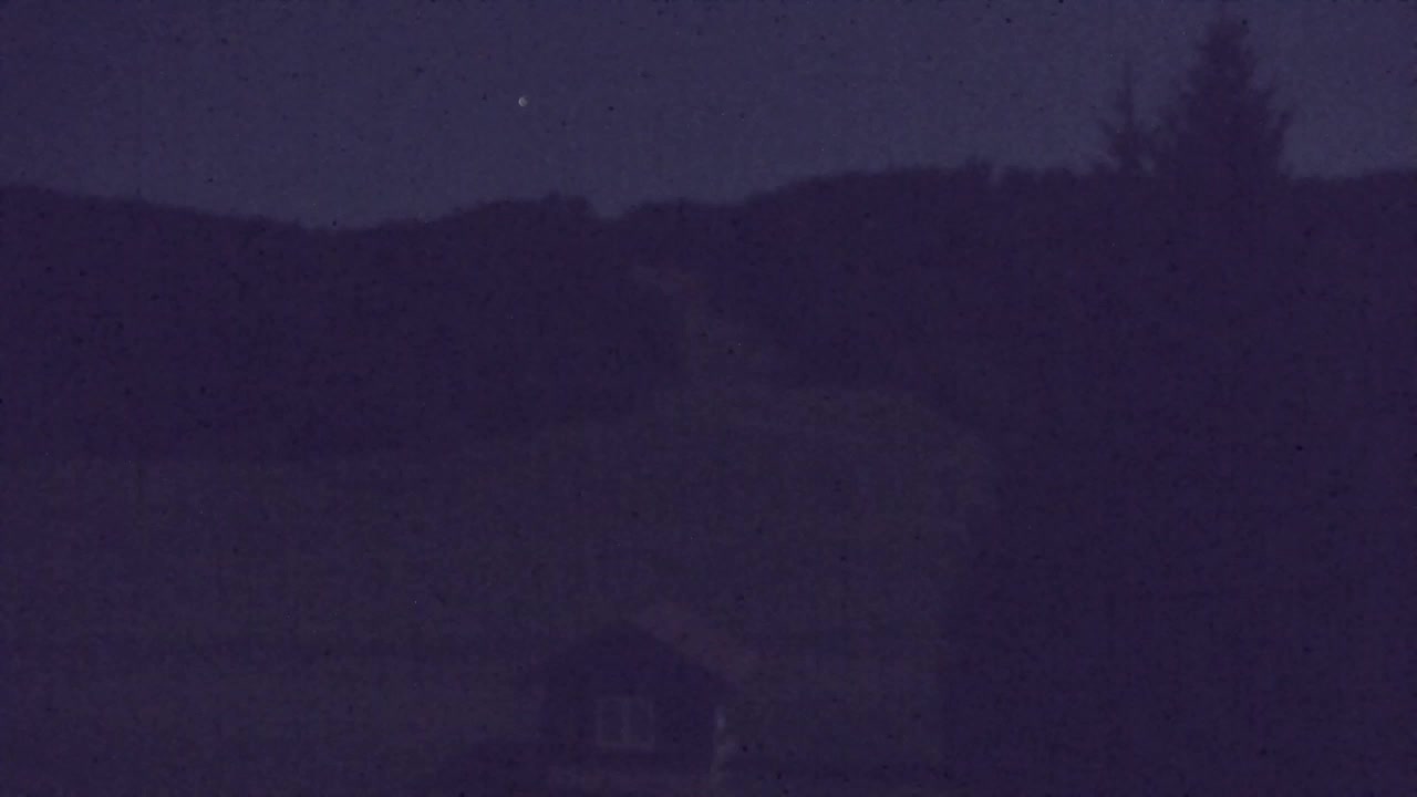Webcam Loqua / Lokve – La bellezza della selva di Tarnova