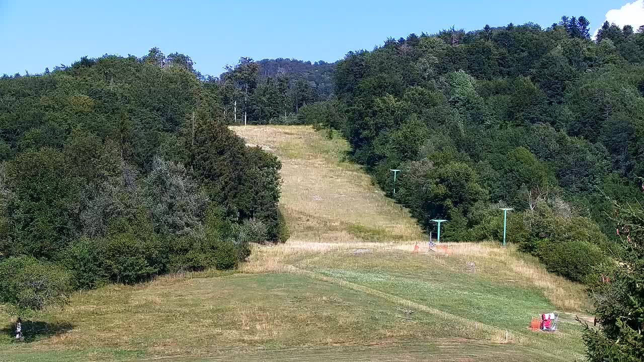 Webcam Loqua / Lokve – La bellezza della selva di Tarnova