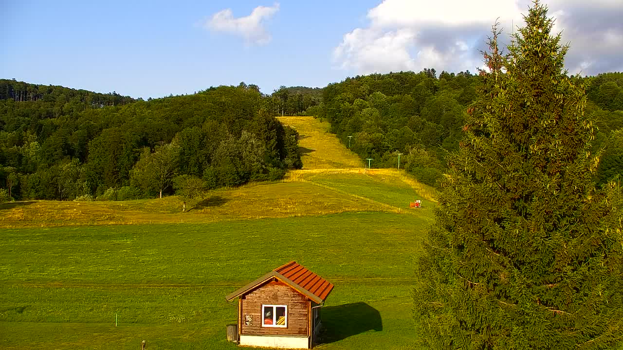 Webcam Lokve – The beauty of the Trnovo forest