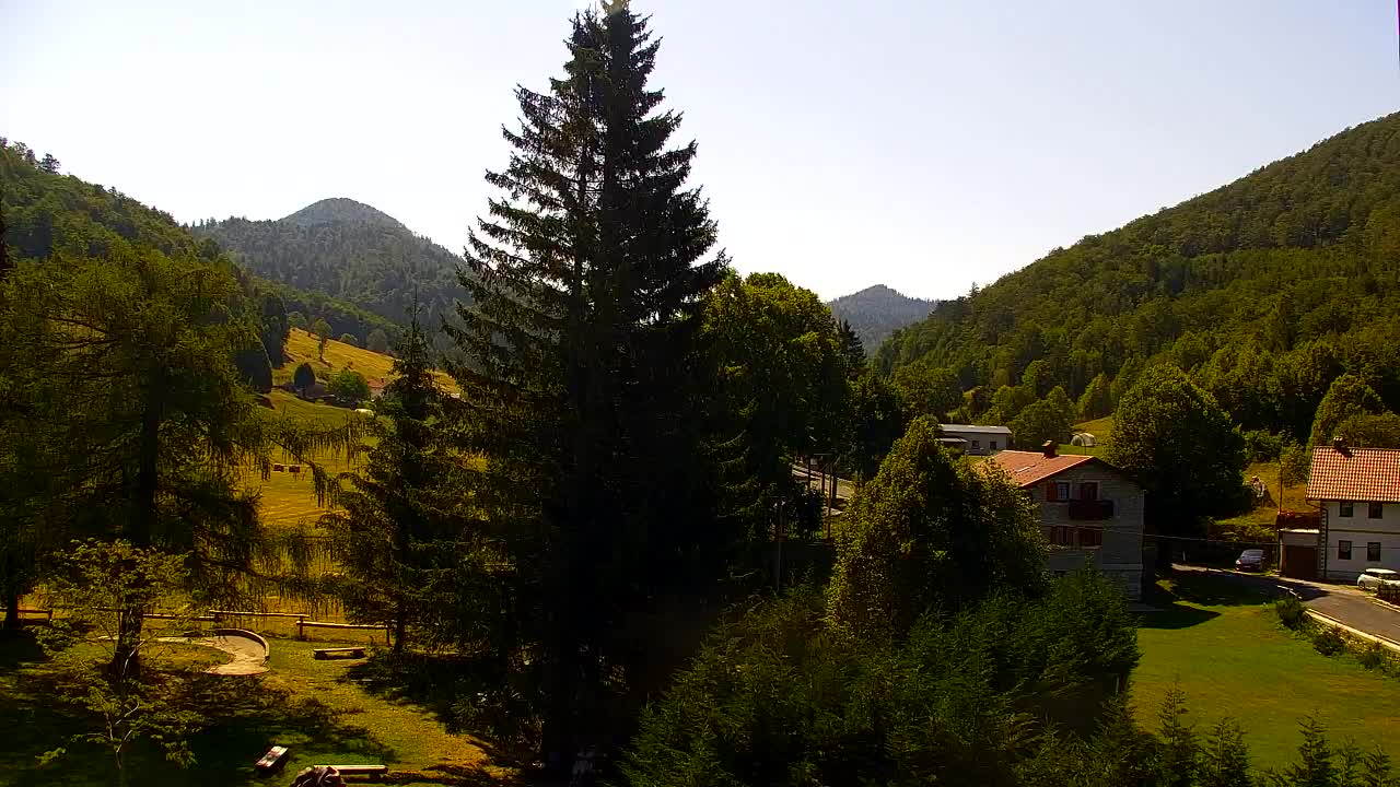Webcam Loqua / Lokve – La bellezza della selva di Tarnova