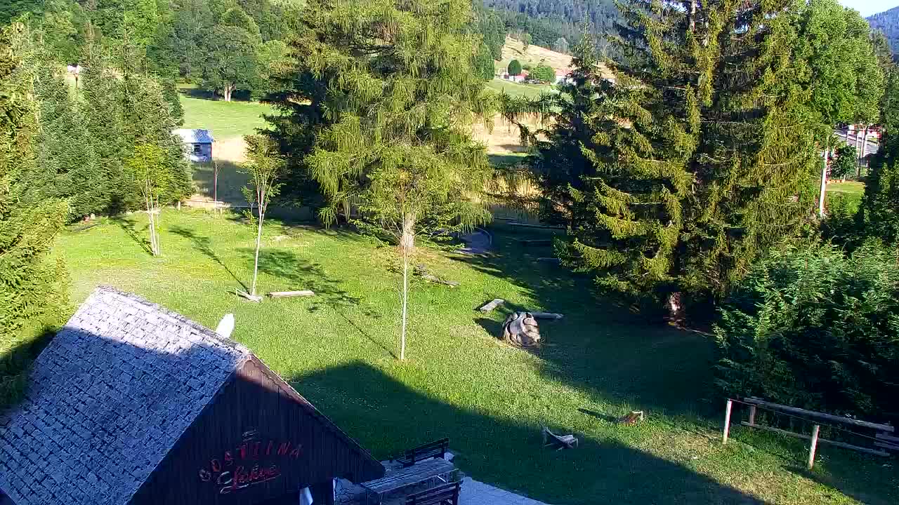 Webcam Lokve – Die Schönheit des Trnovo-Waldes