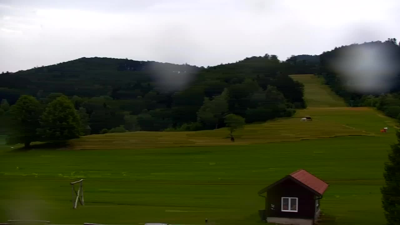 Webcam Lokve – La beauté de la forêt de Trnovo