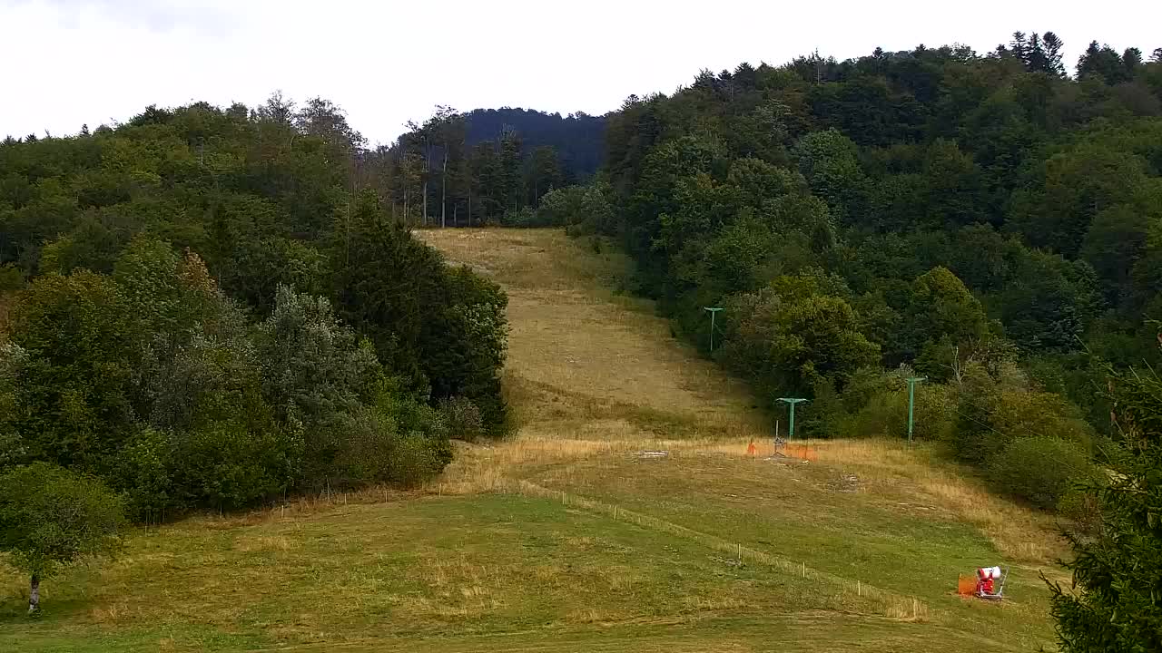 Camera en vivo Lokve – La belleza del bosque de Trnovo