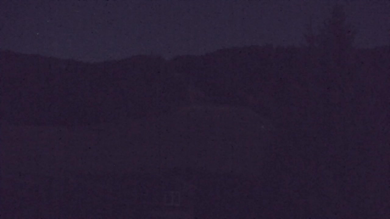 Webcam Lokve – La beauté de la forêt de Trnovo