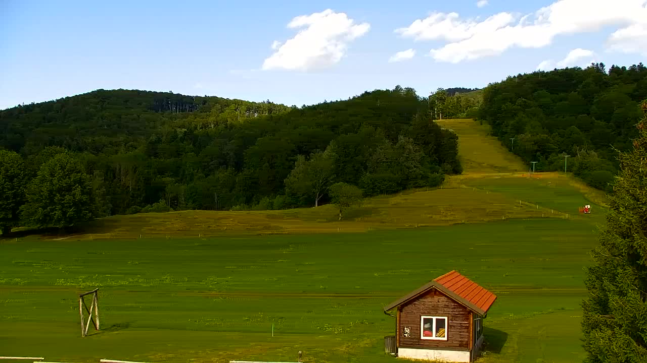 Webcam Loqua / Lokve – La bellezza della selva di Tarnova