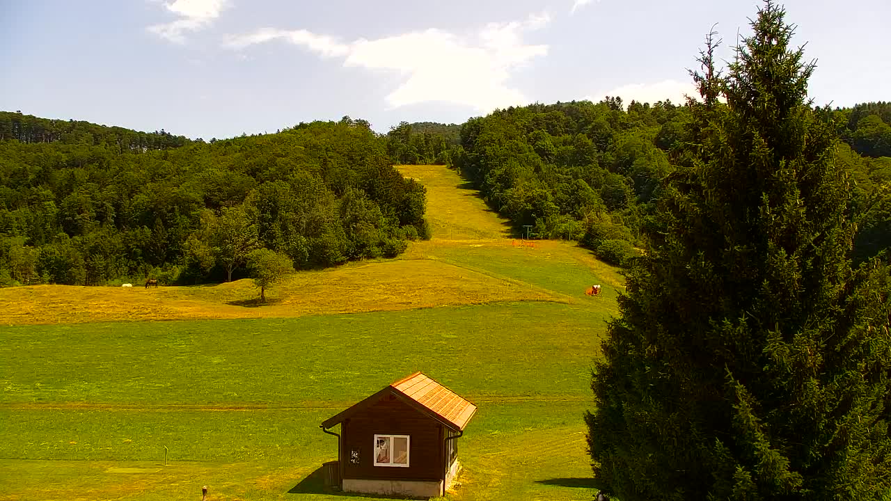 Camera en vivo Lokve – La belleza del bosque de Trnovo