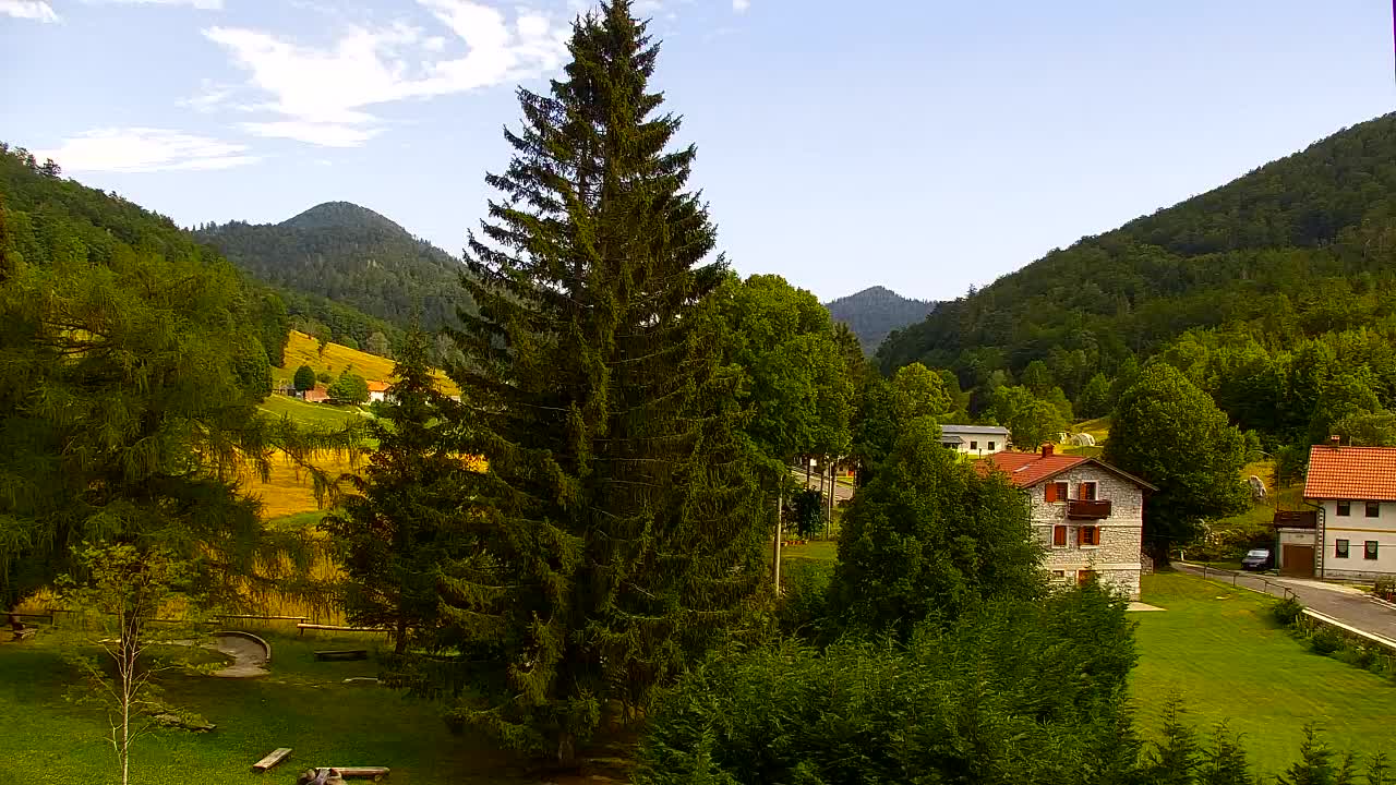 Webcam Lokve – Die Schönheit des Trnovo-Waldes