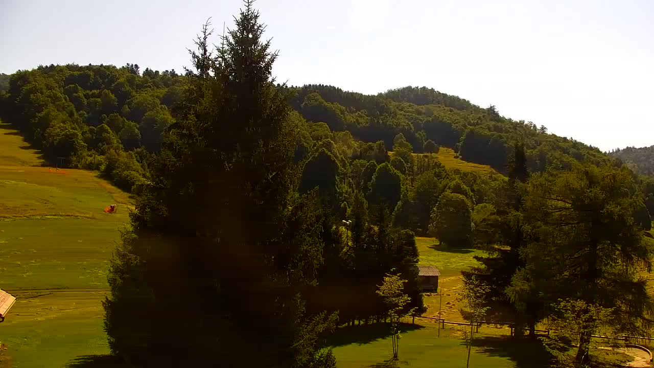 Webcam Loqua / Lokve – La bellezza della selva di Tarnova
