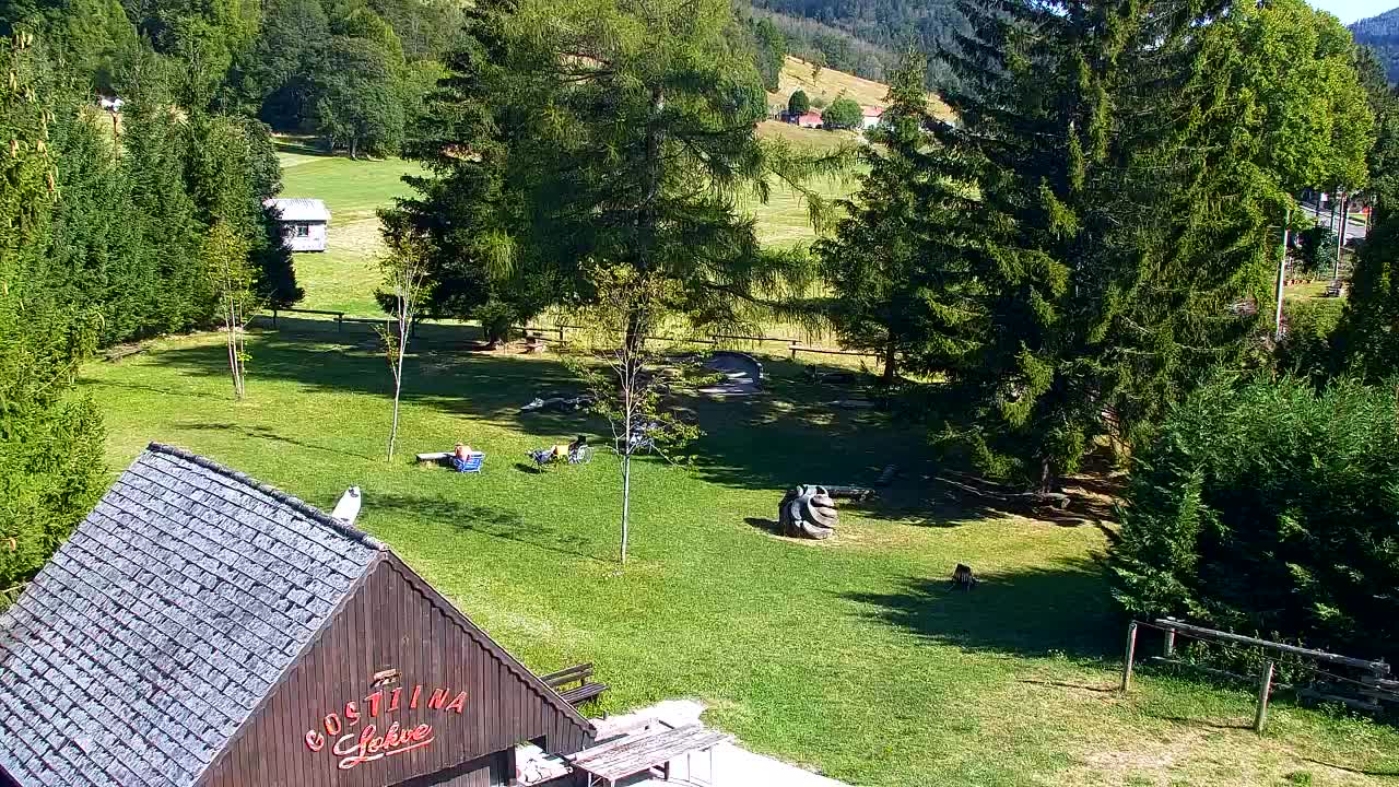 Webcam Lokve – La beauté de la forêt de Trnovo
