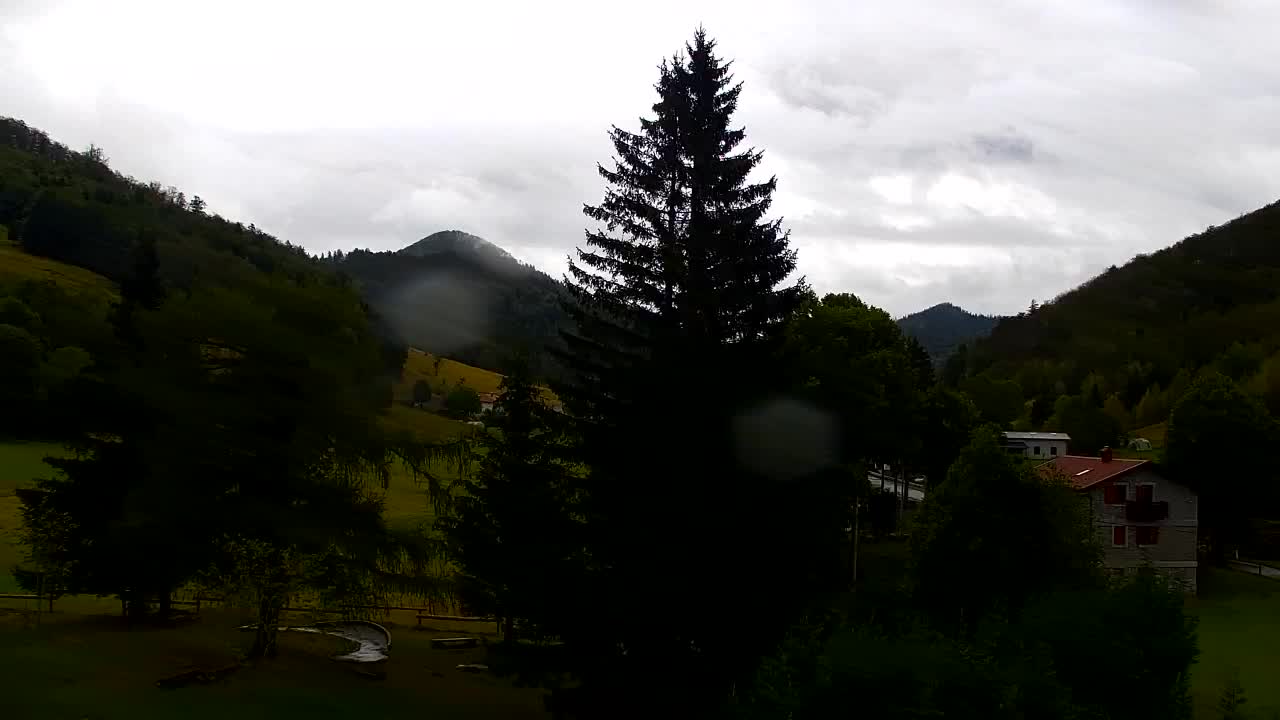 Webcam Loqua / Lokve – La bellezza della selva di Tarnova