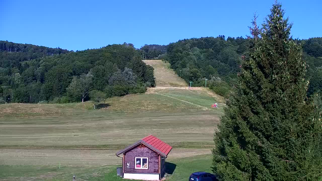 Webcam Loqua / Lokve – La bellezza della selva di Tarnova
