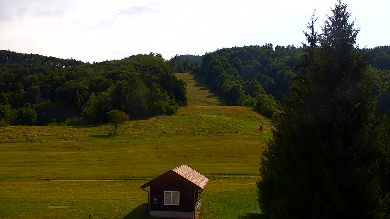 Webcam Lokve – La beauté de la forêt de Trnovo