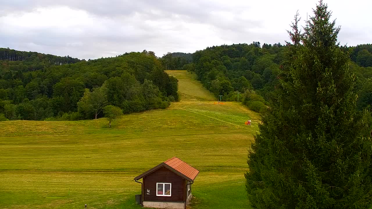 Webcam Loqua / Lokve – La bellezza della selva di Tarnova