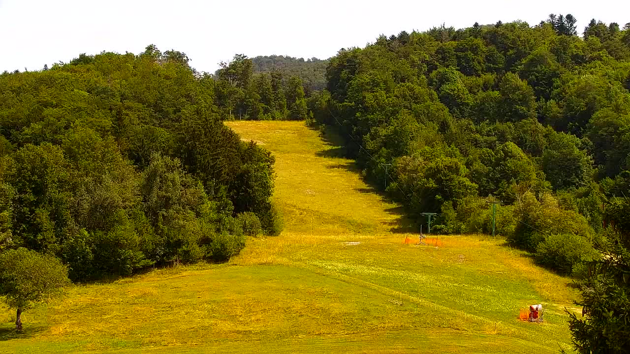 Webcam Loqua / Lokve – La bellezza della selva di Tarnova