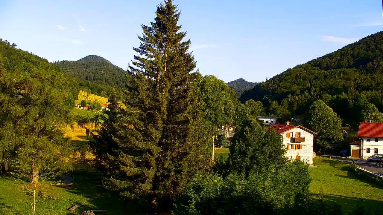 Webcam Loqua / Lokve – La bellezza della selva di Tarnova