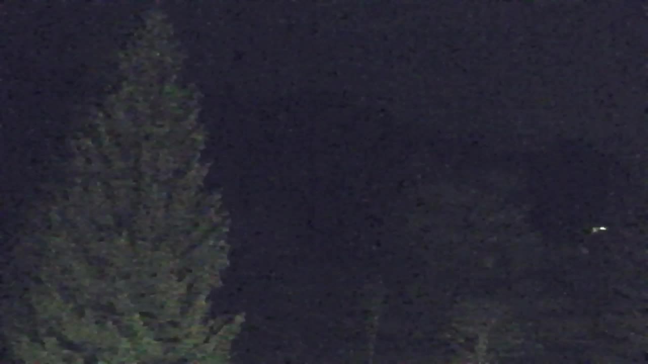 Webcam Lokve – La beauté de la forêt de Trnovo
