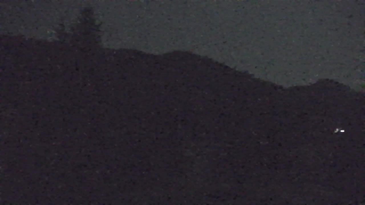 Webcam Lokve – The beauty of the Trnovo forest