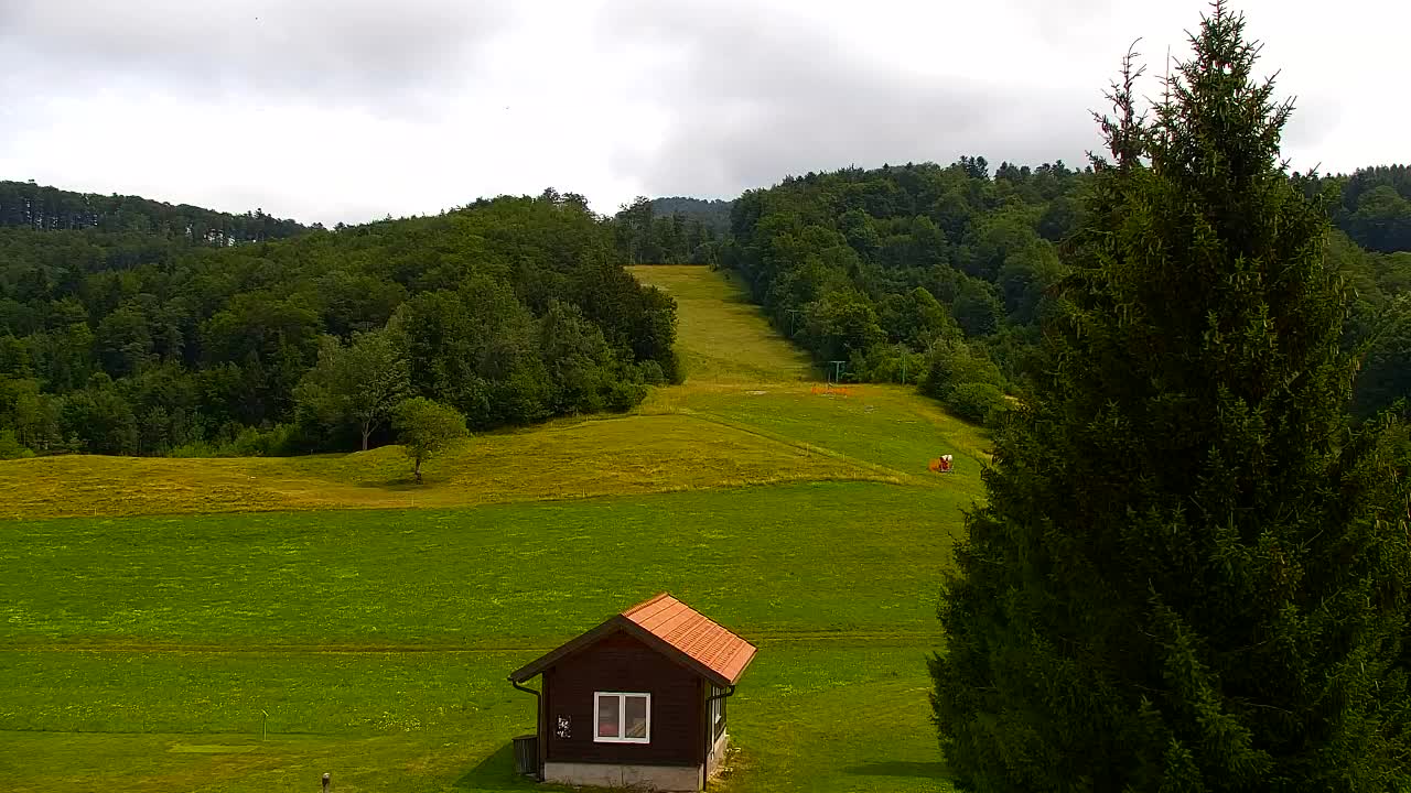 Webcam Loqua / Lokve – La bellezza della selva di Tarnova