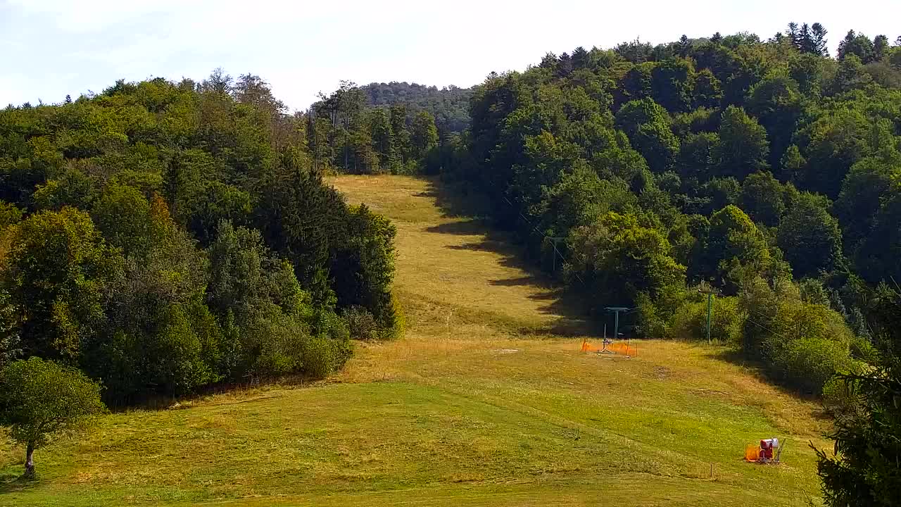 Webcam Loqua / Lokve – La bellezza della selva di Tarnova