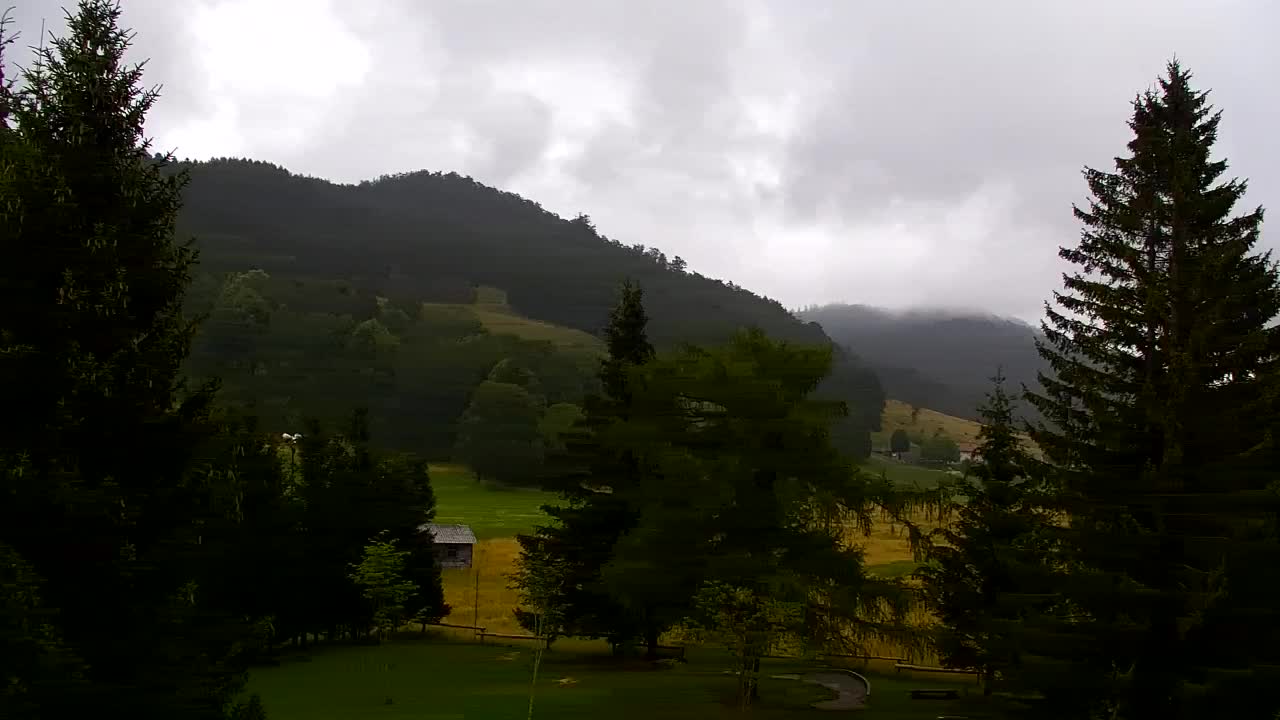 Webcam Lokve – La beauté de la forêt de Trnovo