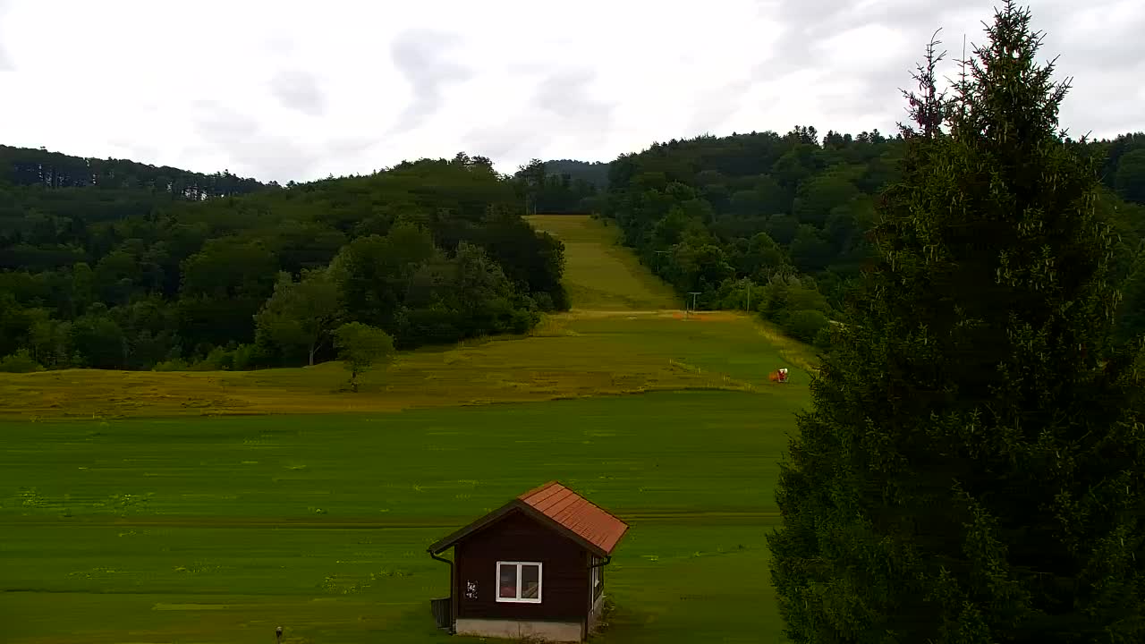 Webcam Lokve – The beauty of the Trnovo forest