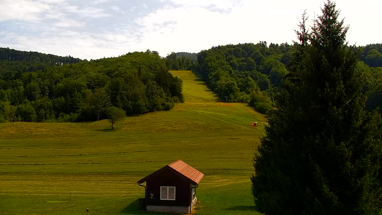 Webcam Loqua / Lokve – La bellezza della selva di Tarnova