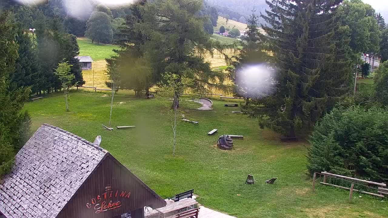 Webcam Loqua / Lokve – La bellezza della selva di Tarnova