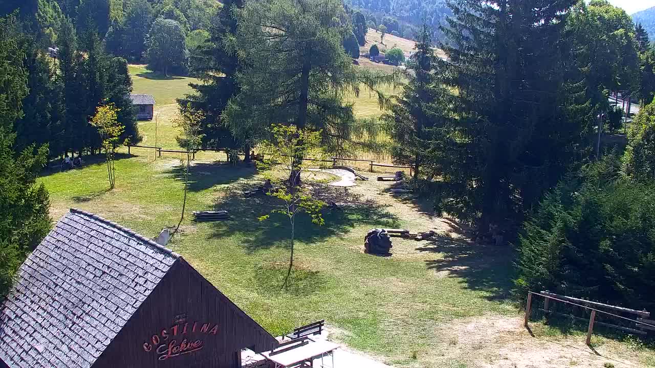 Webcam Loqua / Lokve – La bellezza della selva di Tarnova