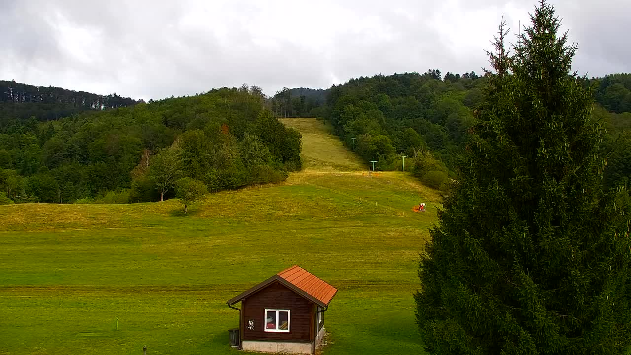 Webcam Loqua / Lokve – La bellezza della selva di Tarnova