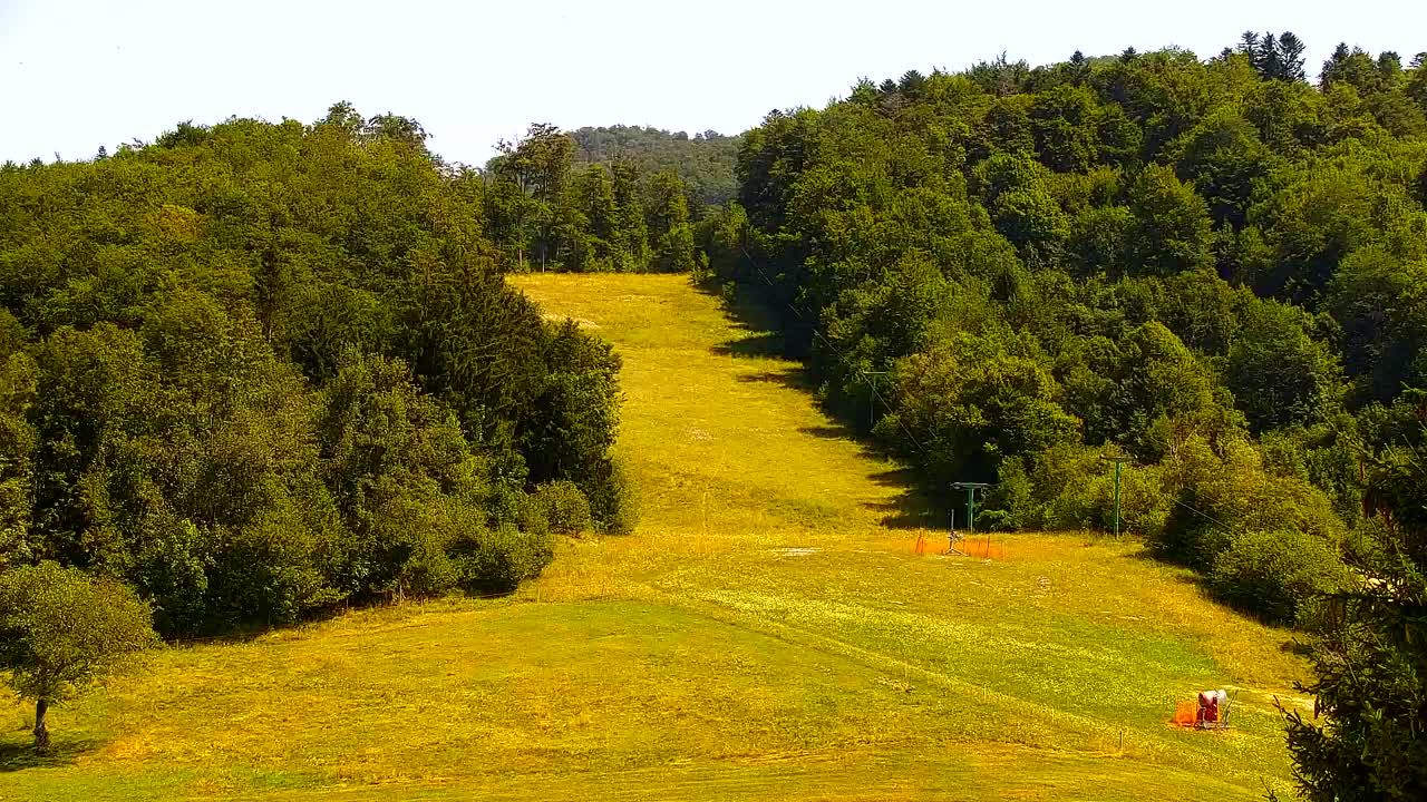 Webcam Lokve – The beauty of the Trnovo forest