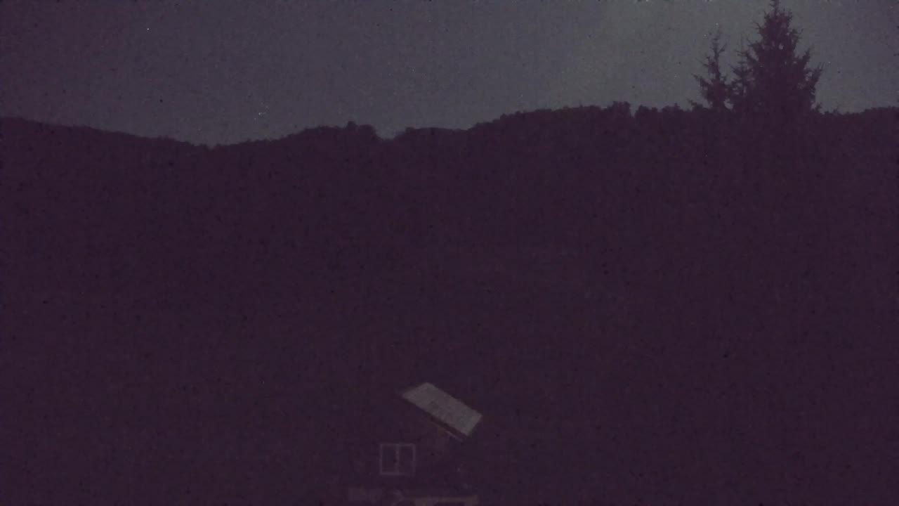 Webcam Lokve – The beauty of the Trnovo forest