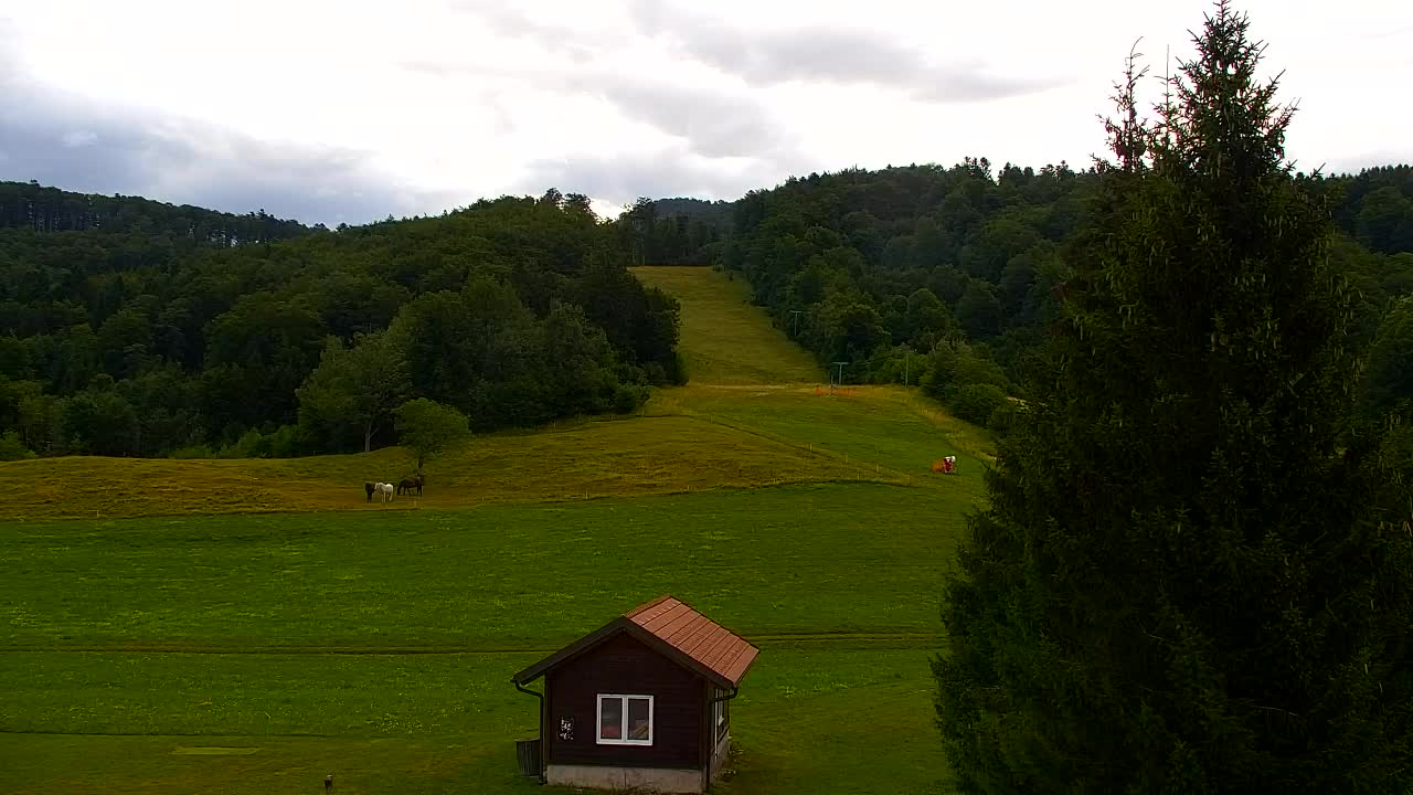 Webcam Lokve – La beauté de la forêt de Trnovo