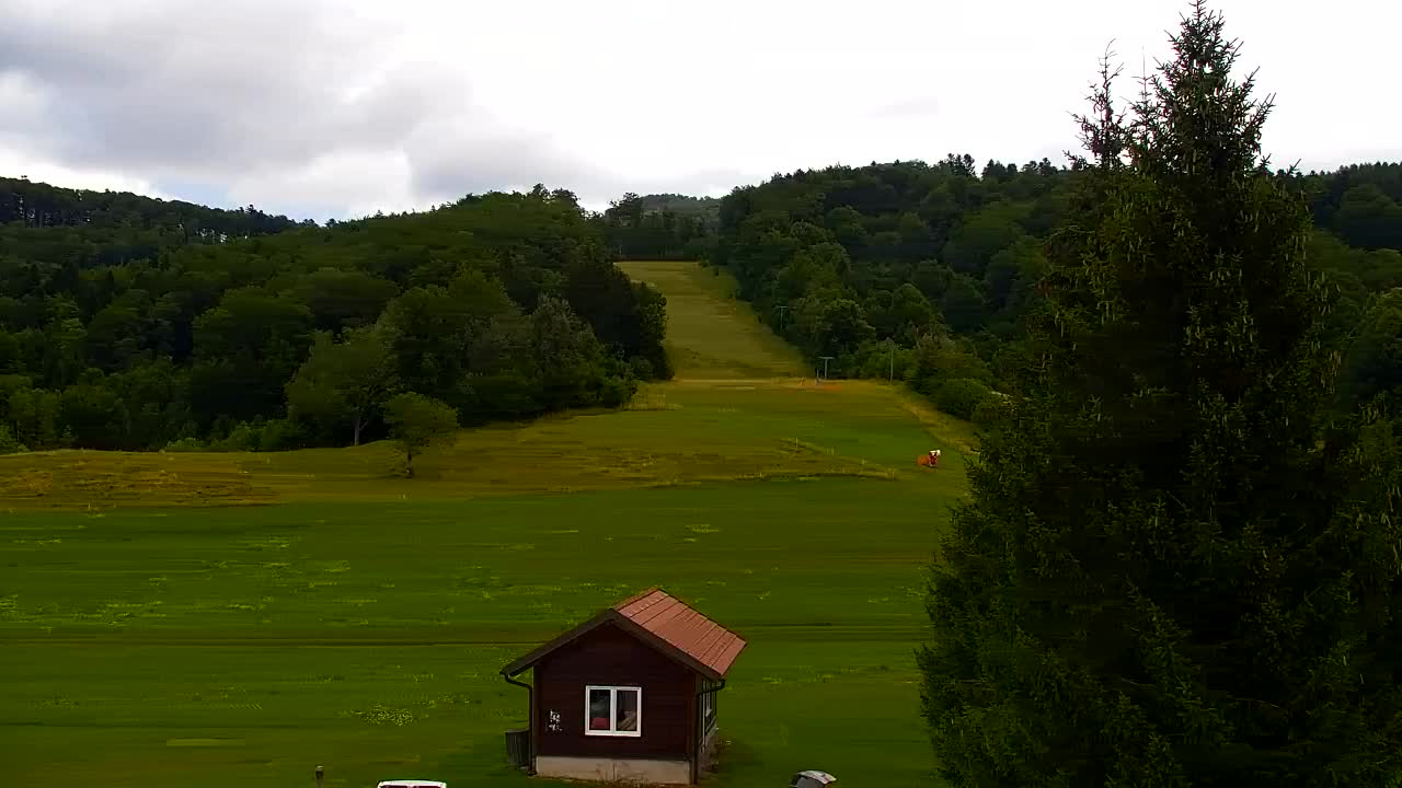 Webcam Lokve – The beauty of the Trnovo forest