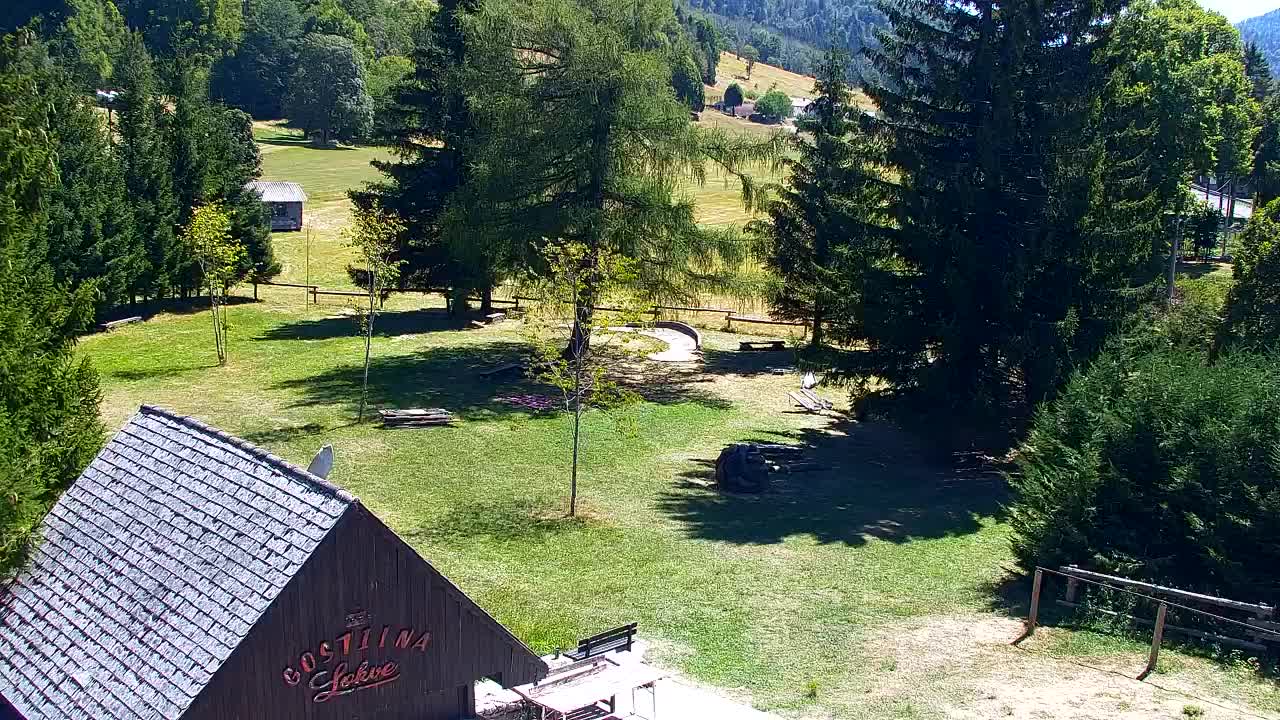 Webcam Lokve – The beauty of the Trnovo forest
