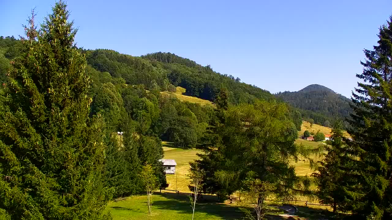 Webcam Lokve – La beauté de la forêt de Trnovo