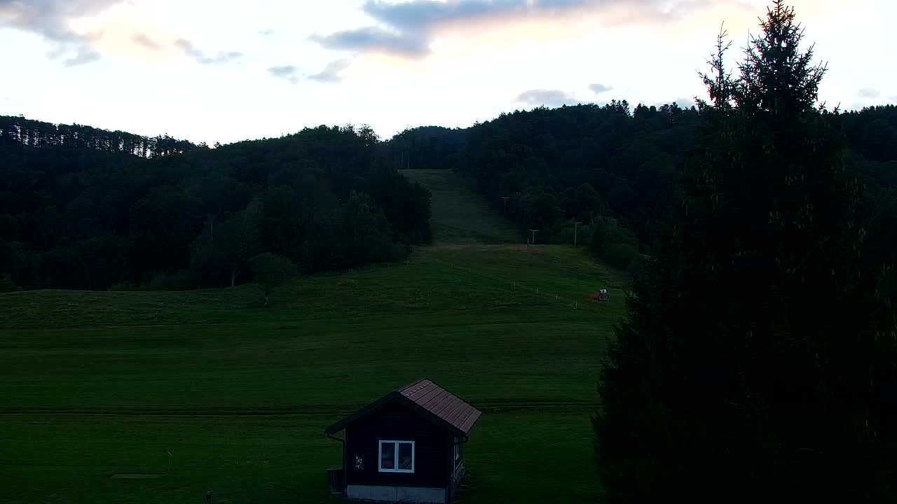 Webcam Loqua / Lokve – La bellezza della selva di Tarnova