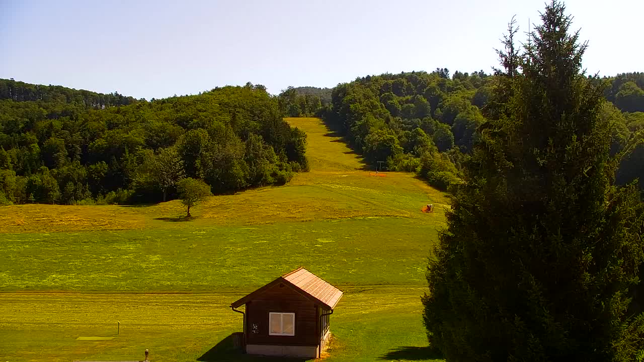 Webcam Loqua / Lokve – La bellezza della selva di Tarnova