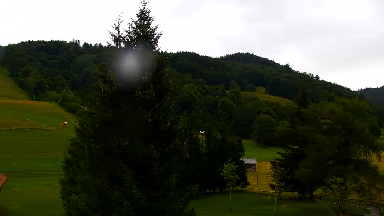 Webcam Loqua / Lokve – La bellezza della selva di Tarnova