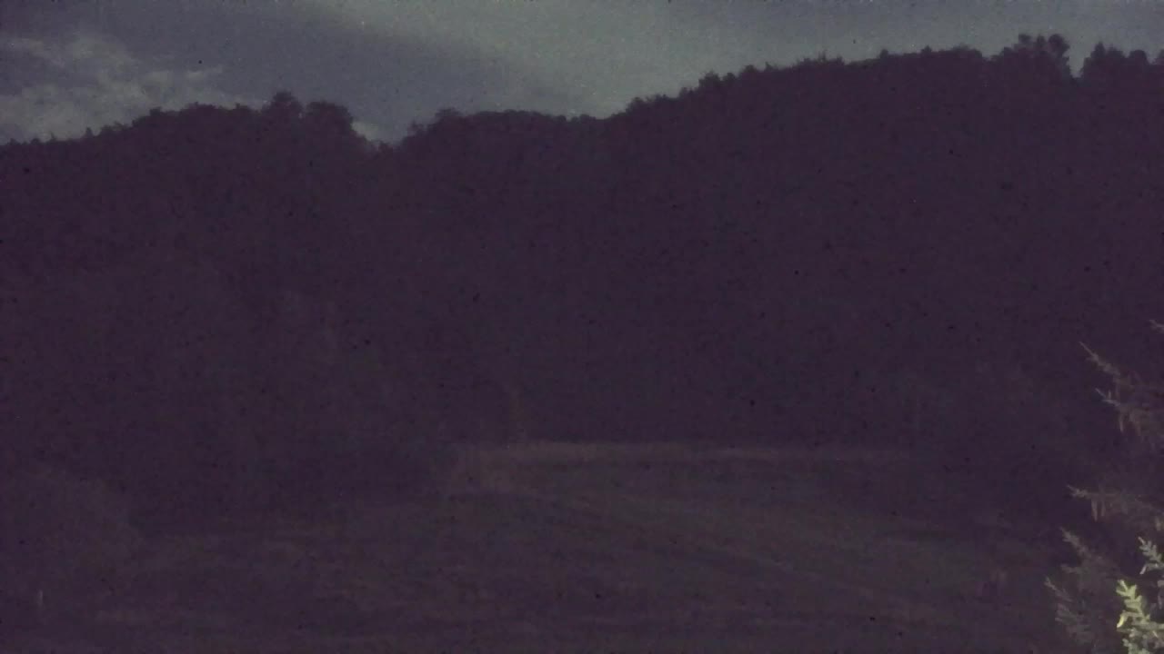 Webcam Loqua / Lokve – La bellezza della selva di Tarnova