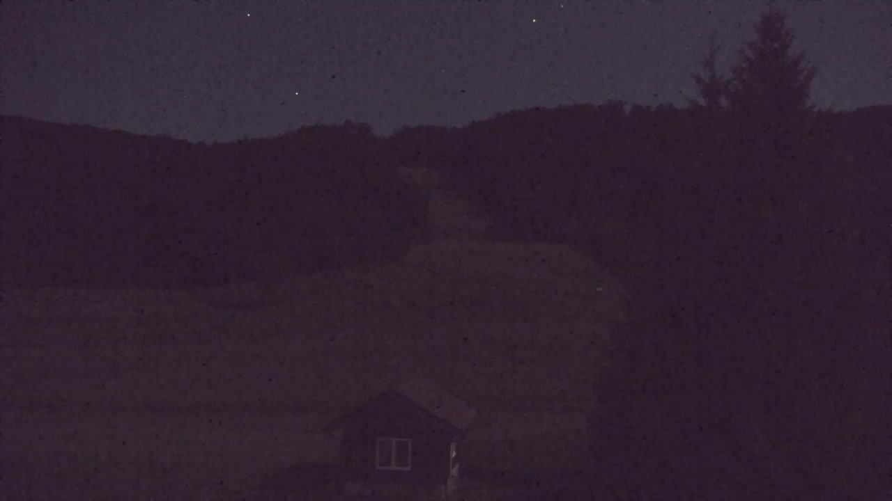 Webcam Lokve – La beauté de la forêt de Trnovo