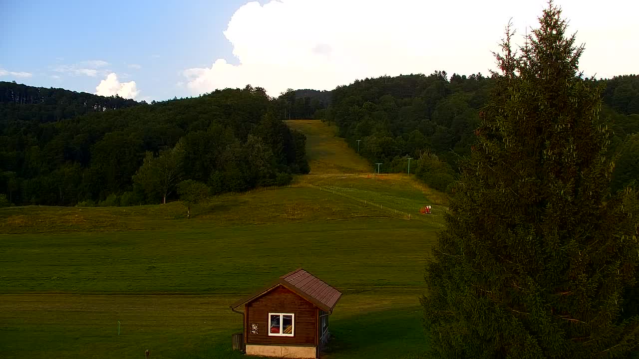 Webcam Loqua / Lokve – La bellezza della selva di Tarnova
