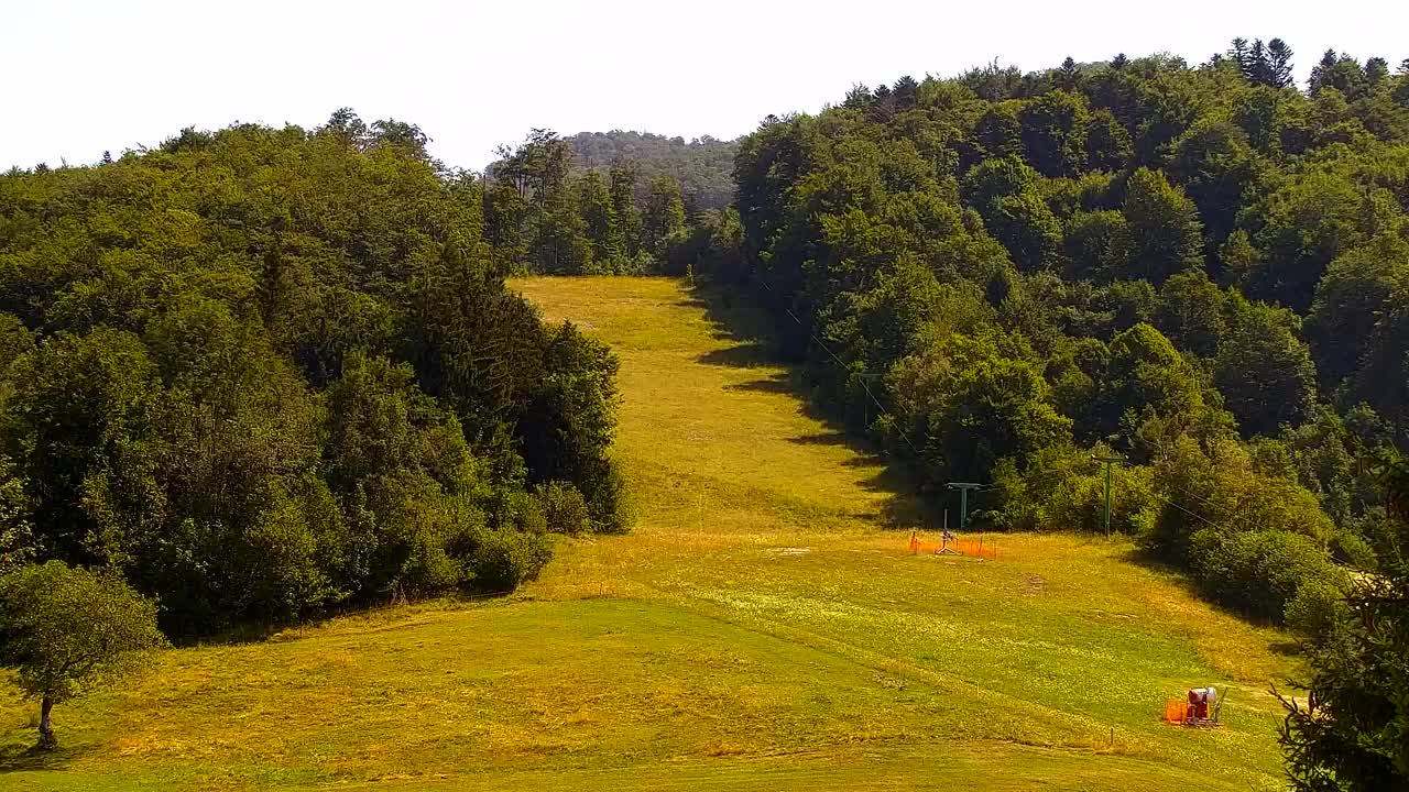 Webcam Loqua / Lokve – La bellezza della selva di Tarnova