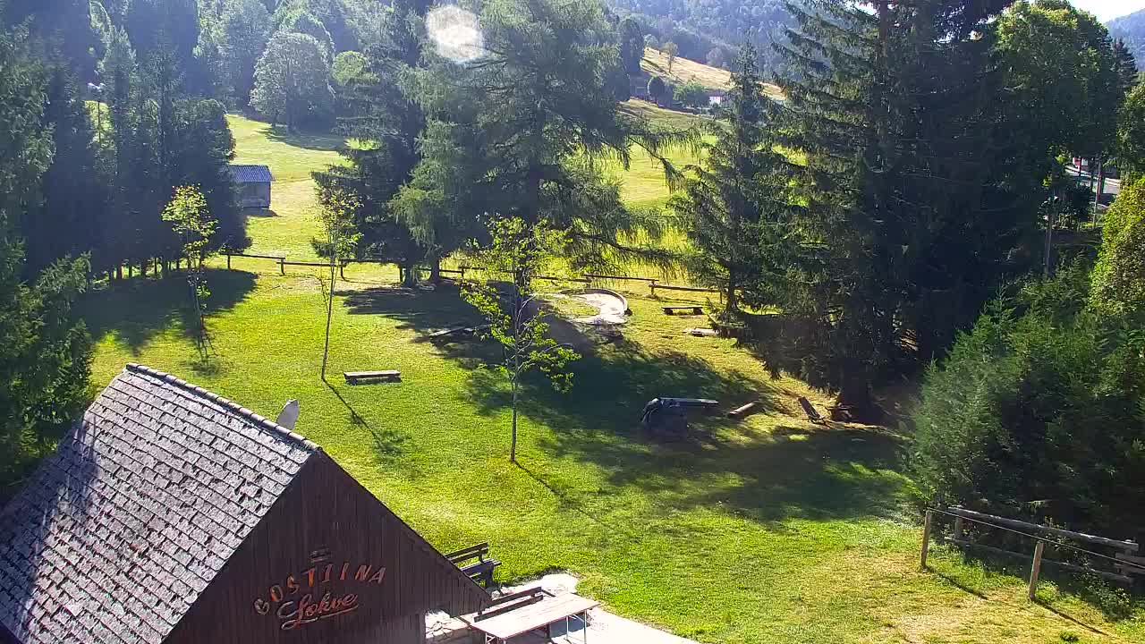 Webcam Loqua / Lokve – La bellezza della selva di Tarnova