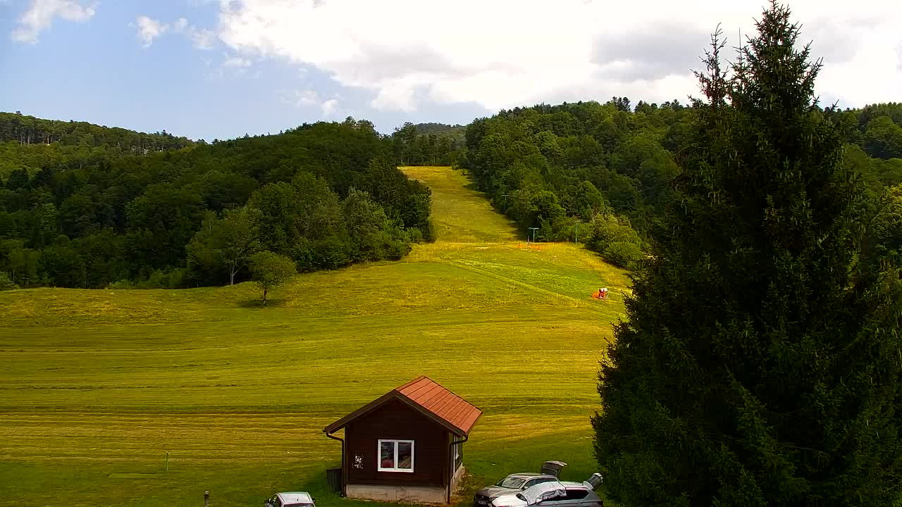 Webcam Lokve – The beauty of the Trnovo forest