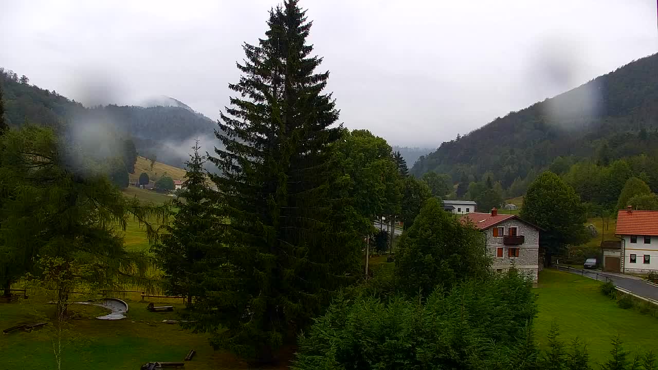 Webcam Lokve – Die Schönheit des Trnovo-Waldes